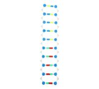 NUOBESTY Modèle Éducatif Structure en Double Hélice de L'Adn à Assembler, Outil Pédagogique Scientifique Portable en Matériaux Solide, Instrument D’Apprentissage des Gènes Humains pour