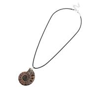 NUOBESTY Pendentif En Pierre En Spirale Spécimen De Conque Naturel Spécimen D'ammonite Naturel Conque De Coquillage Naturel Charmes De Bijoux D'ammonite Fossile De Conque Naturel