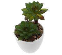 NUOBESTY Plante Grasse Artificielle en Pot 1 PC Décoration Intérieure Succulente Simulée Réaliste Plante Artificielle pour Bureau et Salon pour Maison et Bureau