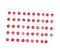 NUOBESTY Plaques Numérotées En Aluminium Rouge 1-50 Porte-clés Étiquettes D'identification Pour Bagages Et Clés Lot De 100 Set De% Métal Solide Et Résistant