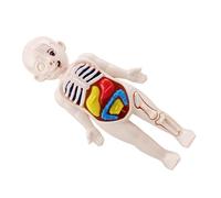 NUOBESTY Puzzle 3D des Organes du Corps Humain 14 Pièces - Modèle Éducatif en Plastique pour Maternelle - Pédagogique Préscolaire pour Apprentissage Anatomie Viscères