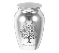 NUOBESTY Urne Funéraire pour Animaux de Compagnie en Métal Argenté Couvercle Hermétique Petite Taille Compacte pour Conserver Cendres de Chien et Chat Urne Souvenir pour Usage Intérieur