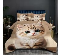 Nuphtun Couette Saison 140x200 cm | Chat Coloré, Microfibre et Remplissage Coton 200GSM, Ensemble 3 Pièces avec 2 Taies, Confort Saisonnier Absolu pour Toutes Les Nuits D45