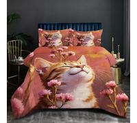 Nuphtun Couette Saison 140x200 cm | Chat Coloré, Microfibre et Remplissage Coton 200GSM, Ensemble 3 Pièces avec 2 Taies, Confort Saisonnier Absolu pour Toutes Les Nuits D35