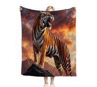 Nuphtun Couverture Polaire 240 x 260 cm Tigre Jaune, Couverture Canapé Grande Taille Usage Multiple comme Couette d'Appoint, Assure Une Protection Contre Le Froid, AQ528