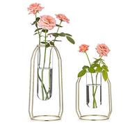 NUPTIO 2 Pcs Vases à Fleurs avec Cadre d'art de Fer, Pot Géométrique, Vase de Pièce Maîtresse, Support D'affichage de Table des Plantes pour la Table de Mariage Bureau Salon Décor