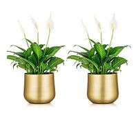 NUPTIO 2 Pièces Pot de Plante Vase en Or Pot de Fleur en Métal Vase avec Trou de Drainage, Organisateur de Stockage Moderne Cadeaux Décoratifs pour Mariage Intérieur Extérieur Balcon Affichage