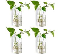 NUPTIO 4 Pièces Cristal Verre Tenture Murale Fleur Vase Planteur Terrarium Conteneur Pot De Fleur