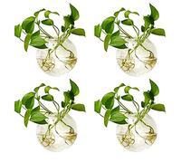 NUPTIO 4 Pièces Jardinières en Verre à Suspendre 10cm de Diamètre en Verre Rond Pot - Eau Planter des Vases Air Fleur Vase Plante Terrariums Conteneur de Plantes