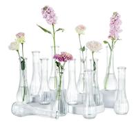 NUPTIO Petit Vase en Verre pour Fleur: 12 Pièces 21,7cm Haut, Transparent | Grand Soliflore, Centre de Table pour Fête, Mariage, Noel, Anniversaire, Ceremonie, Maison