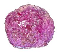 Nupuyai Cristaux de Quartz Geode Naturels Angel Aura Quartz, Spécimen de Quartz Enduit de Titane Amas de Cristal Arc-en-Ciel 100-200g, Fuchsia