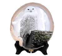 Nupuyai Tranche de pierre d'agate en géode naturelle pour la maison, le bureau, la peinture en pierre d'agate irrégulière, œuvre d'art avec support en bois, chouette des neiges