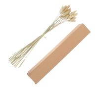 NUSITOU 30 Pièces Décoration Soi-même Herbe Séchée Queue de Lapin Naturelle 30 Fleurs Séchées Déco Multi-Niveaux pour Composition de Fleur