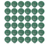 NUSITOU Embouts de Protection pour Bâtons de Jardin PVC Vert 48 Pièces