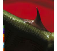 Night song CD