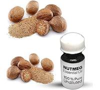 Nutmeg Essential Oil / 100% Pure Nutmeg Undiluted Essential Oil Premium Quality (100 ML, NATURAL)