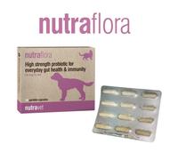 NUTRAVET Nutraflora pour chiens et chats 48 gélules - Probiotique puissant pour un soutien quotidien de la santé intestinale et immunitaire