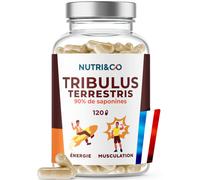 Nutri&Co Complément Tribulus terrestris – 90% saponines – Extrait 10:1 – 120 gélules Vegan