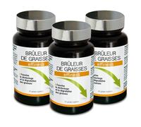 NUTRI EXPERT - Effiness brûleur de graisses - Déstocke & dégrade les graisses - Aide à la minceur et à la perte de poids - Formule renforcée avec Guarana, Maté, Thé Vert, Chrome et Choline - Lot de 3