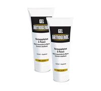 NUTRI EXPERT - Gel Artrogenol - Formule chauffante à l'Harpagophytum, Piment et huile essentielle de Myrte - Souplesse & confort des articulations - Soulage et apaise rapidement - Lot de 2