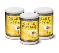 NUTRI EXPERT - Gelée Royale Bio Ecocert - 100% pure - Conditionnée en boîte isotherme sous atmosphère stérile - Renforce l'immunité - Réduit la fatigue - Lot de 3 avec cuillère doseuse intégrée