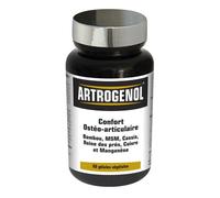 NutriExpert Artrogenol – Complément Cartilage de requin, Bambou, MSM – 60 gélules végétales