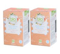 Nutrisanté Bio Infusion Froide Saveur Mangue-Pêche Digestion Thé Instantané 2x20 pc(s)