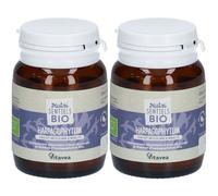 Nutrisanté Nutrisentiels BIO HARPAGOPHYTUM Capsule(S) 2x30 pc(s)
