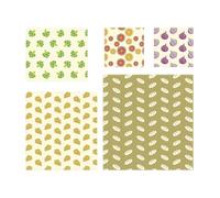 Nuts Innovations AG BIENENWACHST.5ER SET