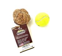 Nutties Balle de Coco Husk Jouet et Brosse à Dents Magique pour Chien Chat (Petit)