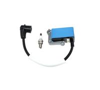 NVDERTA Bobine d'allumage Compatible avec Stiga BL980R SBP375 Castelgarden XBP75 Mountfield MPB750,118804455/0