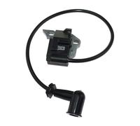 NVDERTA Module de Bobine d'allumage Compatible avec Homelite BP42 RBL42BP RY08420 RY08420A RY42WB 291424001