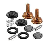 NVDHYTI Kit de réparation de vanne d'eau W7438K2 for 2 Pistons, diaphragme, Lave-Glace et Ressorts