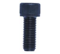 nVent HOFFMAN Vis de fixation pour mors rapportés durs et doux, Pour type de mandrin: 250 Quantité:1