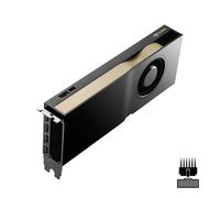 NVIDIA RTX 4500 ADA - Carte graphique - RTX 4500 Ada - 24 Go GDDR6 - PCIe 4.0 x16 - 4 x DisplayPort