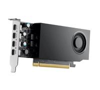 NVIDIA RTX A1000 - Carte graphique - RTX A1000 - 8 Go GDDR6 - PCIe 4.0 x8 - 4 x Mini DisplayPort