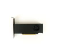 NVIDIA RTX A2000 - Carte Graphique - RTX A2000 - 6Go GDDR6 - PCIe 4.0 x16 - 4 x Mini DisplayPort