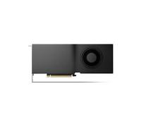 NVIDIA RTX - Carte graphique - RTX 5000 Ada - 32 Go GDDR6 - PCIe 4.0 x16 - 4 x DisplayPort