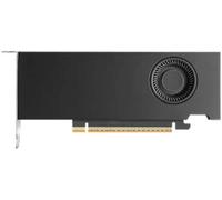 Carte graphique NVIDIA RTX PRO 2000 Blackwell 16 Go PCIe 5.0 x8
