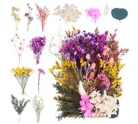NVIYAM Ensembles de Fleurs Séchées Naturelles Vraies Fleurs Pressées Décoration Naturel Fleur Sechees Fleurs Mélangées Naturelles pour Resine Epoxy Fleurs Séchées Scrapbooking DIY Bougie Fabrication
