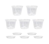 NVOQILIN Lot de 5 supports de fleurs translucides avec trous de drainage pour une croissance optimale des racines et une croissance simple