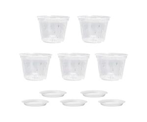 NVOQILIN Lot de 5 supports de fleurs translucides avec trous de drainage pour une croissance optimale des racines et une croissance simple