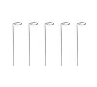NVOQILIN Lot de 5 supports de plantes en fer de 40 cm pour grimper, tomate, vigne, croissance saine, intérieur et extérieur
