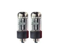 NVSFZGIYG 2 Tubes à Vide 5AR4 / GZ34