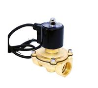 NVSFZGIYG Électrovanne électronique en Laiton à Action directe, 1 pièce, 24V 12V, 220v 1ih BSP NPT(Npt-24vac)
