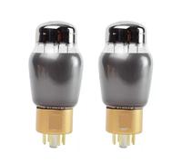 NVSFZGIYG Gain Paire de 2 Tubes à Vide CV181-T 6SN7