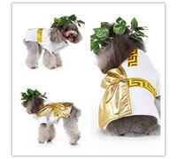 Nvzi -b Vêtements drôles pour chiens de compagnie - Édition de Noël - Vêtements pour animaux de compagnie - Fête pour animaux de compagnie (A24, S)