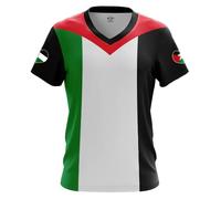 NW NATIONWEAR T-Shirt Homme avec Drapeau - T-Shirt Col V en Polyester Léger avec Drapeau de Pays | Haut Fierté Nationale pour Événements Sportifs, Festivals et Été | Disponible en Plusieurs Pays