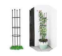 NWHJ Tuteur pour Plantes Grimpantes, Cages a Plantes, Jardin Support Treillis en Métal pour Pivoines, Hortensias, Roses, 20cm, 25cm,30cm,35cm Diamètre des Anneaux