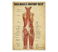 NWPNLXEA Human Back Anatomy Poster | Focus on Deep Muscle Layers, Origins & Insertions | Educational Wall Art for Physical Therapy Clinic, Gym or Yoga Studio Framed,12x18inch(30x45cm)